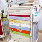 Organization