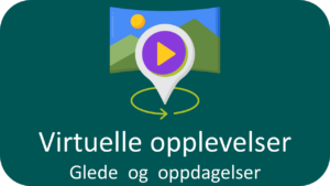 Virtuelle opplevelser: Glede og oppdagelser